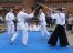 Aikido-Vorführung am 3. Mai 2015 in Wildeshausen